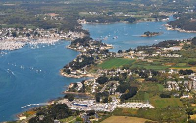 Retrouvez nos vins chez le maraîcher « Alain Le Chapelain » à Saint-Philibert (56).