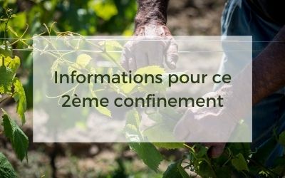 Informations concernant le 2ème confinement