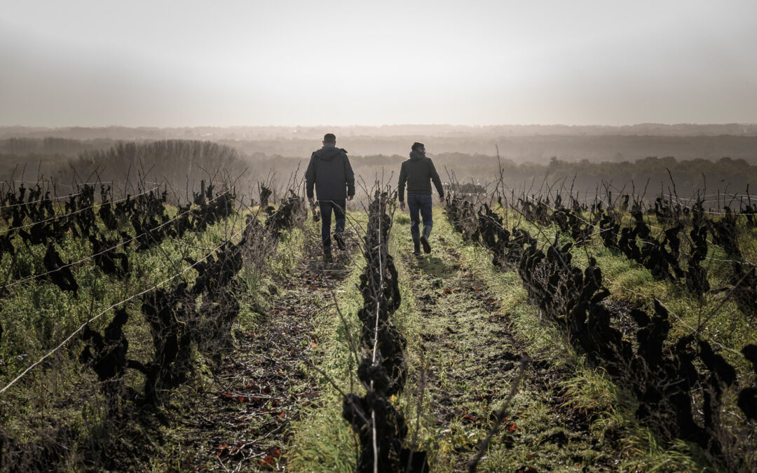 Salons professionnels : les rendez-vous 2024 !